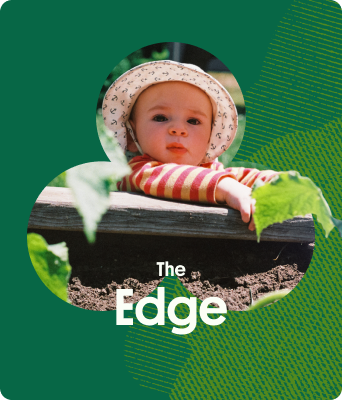 The Edge